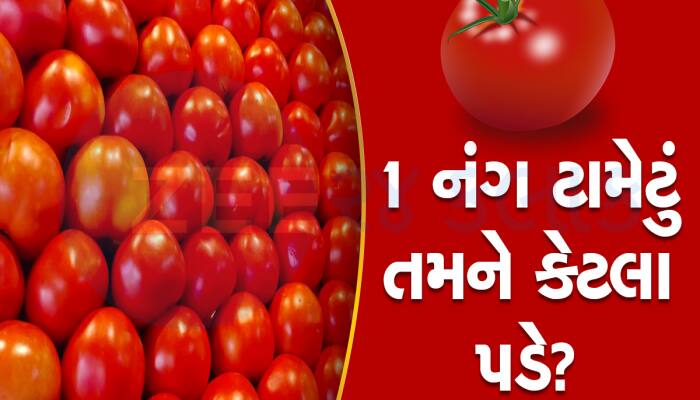 લાલ ટામેટાના ભાવ આસમાને : એક નંગ ટામેટું તમને કેટલામાં પડે છે તે અમે તમને બતાવીએ   