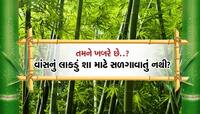 આખરે શા માટે વાંસનું લાકડું સળગાવવામાં નથી આવતું? તમને ખબર છે?