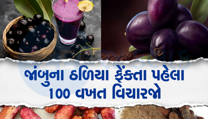 ડોક્ટરની દવા કરતા પણ ઉપયોગી છે આ ઠળિયા, પથરી હોય કે ડાયાબિટીસ બધુ થઇ જશે ગાયબ
