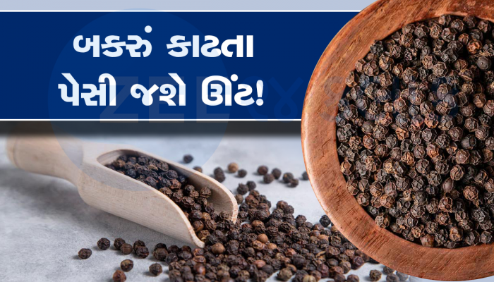 મરીના વધુ પડતા સેવનથી ફાયદો થવાને બદલે થઈ શકે છે નુકસાન, ઉલમાંથી ચૂલમાં પડશો