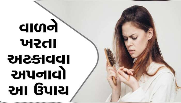 વાળ માટે વરદાન સમાન છે તુલસી, આ પ્રયોગ કરશો તો ડેન્ડ્રફ અને હેર ફોલની સમસ્યા તરત જ થઈ જશે દૂર 