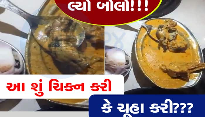 Viral Video: Chicken Curry માંથી નિકળ્યો મરેલો ઉંદર, એક ભાગ ખાધા પછી... બાપ રે...બાપ