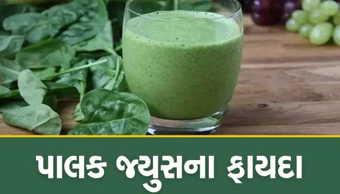 સ્વાસ્થ્ય, ત્વચા અને વાળ માટે ખૂબ જ ફાયદાકારક છે પાલકનો જ્યુસ, ડાયેટમાં અચૂક કરો સામેલ