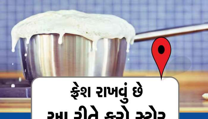 શું ફ્રીજમાં મુકવા છતાં વારંવાર ફાટી જાય છે દૂધ? આ ઉપાય અજમાવો, હંમેશા તાજુમાજૂ રહેશે દૂધ