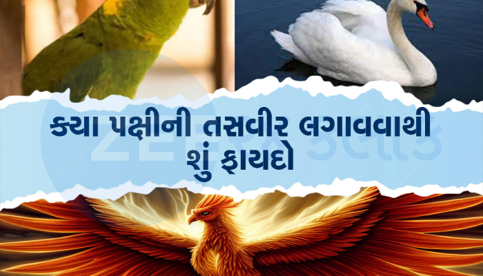 આંખ ખુલતાં જ આ પક્ષીઓના દર્શનથી ખૂલી જાય છે કિસ્મતના દ્વાર, દિવસે ને દિવસે વધશે બેલેન્સ