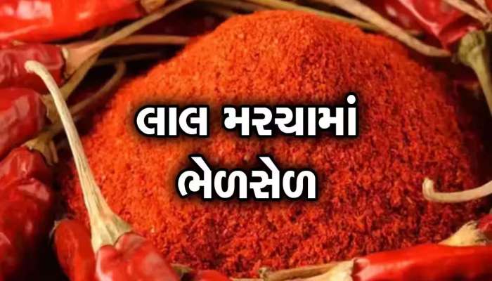 મરચાના નામે ગુજરાતમાં લોકોના આરોગ્ય સાથે થાય છે ચેડાં, જાણો લાલચટક કરવા શેના થાય છે