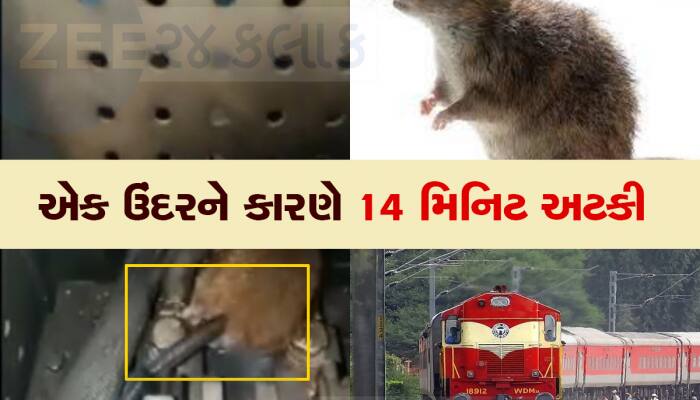 એક ઉંદરને કારણે ગુજરાતમાં ટ્રેન અકસ્માત થતા રહી ગયો, મુસાફરોના જીવ તાળવે ચોંટ્યા