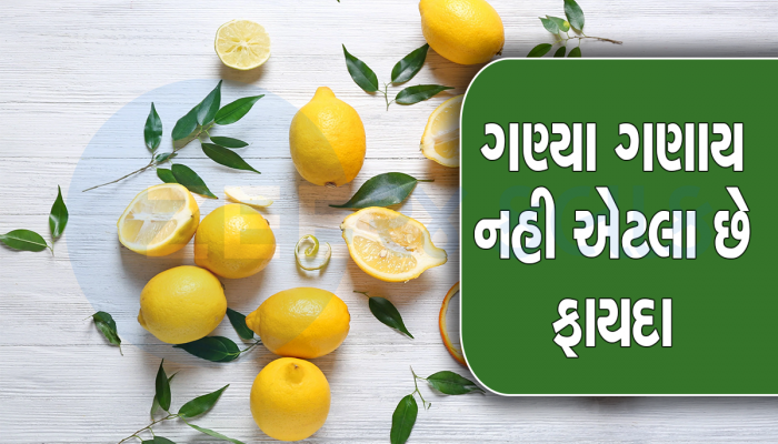 આટલું વાંચ્યા પછી શરબત બનાવીને લીંબુની છાલ ફેંકશો નહી, પાડોશીને પણ આપશો સલાહ