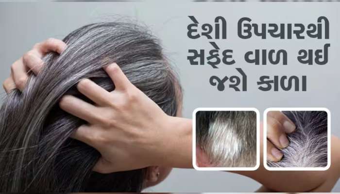 White Hair: માથાના સફેદ વાળથી છુટકારો મેળવવા માંગો છો? સવારે આ વસ્તુનો કરો ઉપયોગ