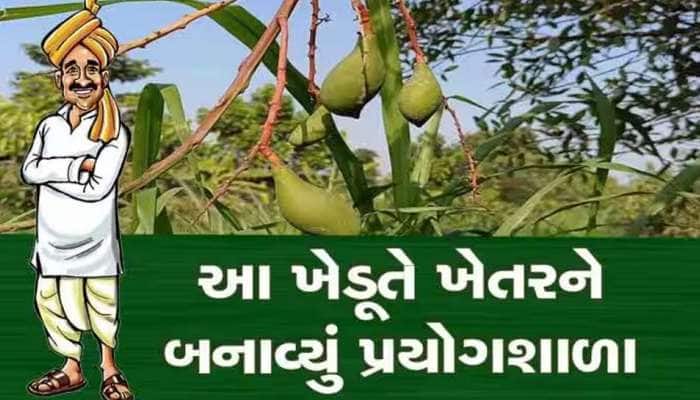 પ્રાકૃતિક ખેતીથી ખેડૂતો આત્મનિર્ભર: ગુજરાતના આ બે ખેડૂતો કમાઈ રહ્યા છે 34-35 લાખ રૂ