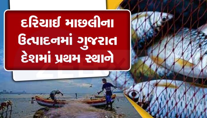 ગતિશીલ ગુજરાતનો ફરી એકવાર ડંકો વાગ્યો : માછલી ઉત્પાદનમાં બધા રેકોર્ડ તોડ્યા 
