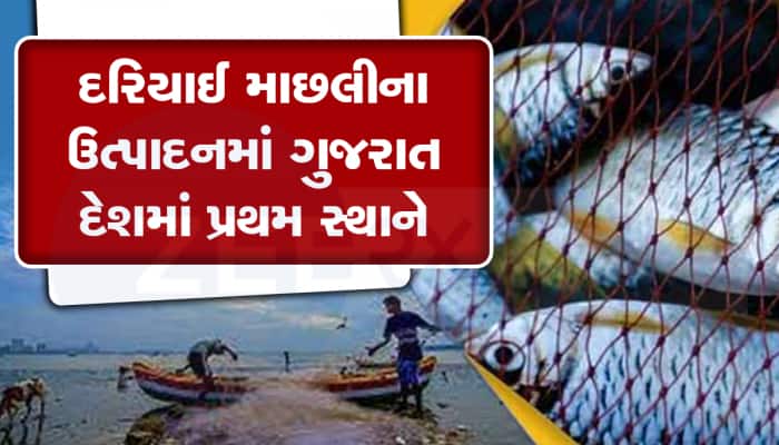 ગતિશીલ ગુજરાતનો ફરી એકવાર ડંકો વાગ્યો : માછલી ઉત્પાદનમાં બધા રેકોર્ડ તોડ્યા 