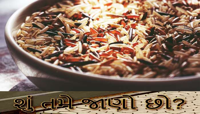 ઉંધુ ઘાલીને ફ્રાઈડ રાઈસને ત્રિપ્પલ રાઈસ ઝાપોટતા પહેલાં જાણો કયા ચોખા છે હેલ્થ માટે હાનિકારક?
