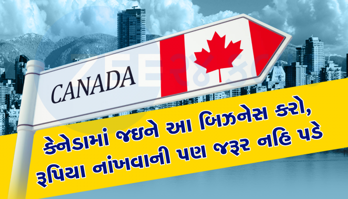 કેનેડામાં જઈને નોકરી માટે ફાંફાં મારવા કરતા આ શીખી લો, ડિમાન્ડ એટલી છે કે ડોલરના ઢગલા થઈ જશે  