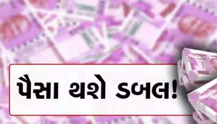 Multibagger Stock : આ શેર ચમકાવી શકે છે તમારી કિસ્મત! જાણો કેમ લેવા માટે થઈ રહી છે પડાપડી