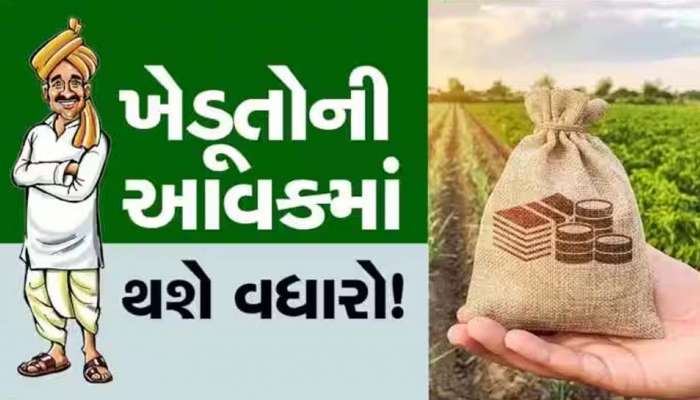 ગુજરાતના ખેડૂતોની સરકારે ચમકાવી કિસ્મત! આ ફળપાકો વાવશે તો અપાશે આટલા રૂપિયા સહાય