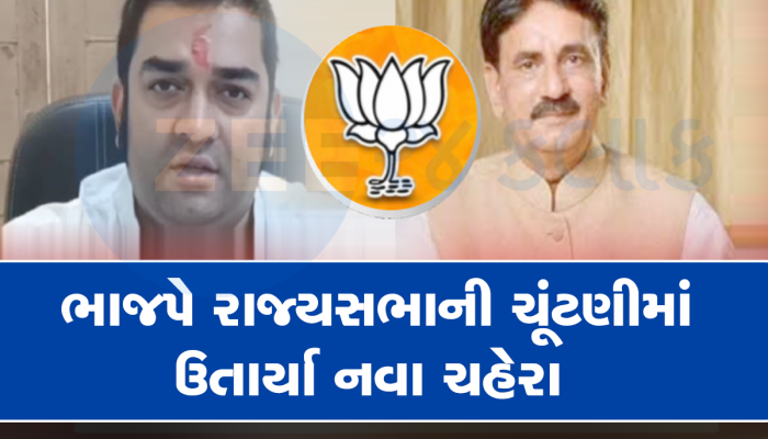 બ્રેકિંગ ન્યૂઝ : ભાજપના સસ્પેન્સ પરથી પડદો ઉંચકાયો, ભાજપે આપી મોટી સરપ્રાઈઝ