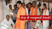 ગુજરાતમાં ભાજપનો માસ્ટર સ્ટ્રોક: એક તીરે અનેક નિશાન તાક્યા, પાર્ટીએ કેમ આપી  ટિકિટ