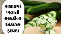 દરરોજ કાકડી ખાવાથી થશે આ અમૂલ્ય ફાયદા, પાચનતંત્ર અને હાડકા થશે મજબૂત