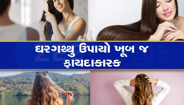 Hair care tips: જો વરસાદની સિઝનમાં તમારા વાળ તૂટતા હોય તો તરત જ કરો આ ઉપાય 