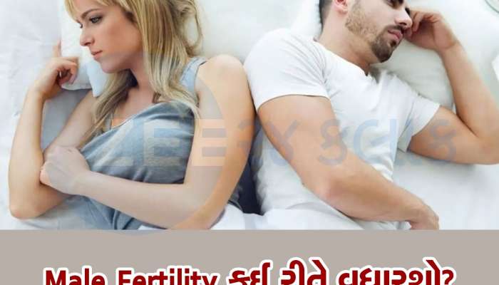 Male Fertility: પુરૂષોની ફર્ટિલિટી મજબૂત કરે છે આ ફૂડ્સ, ખાવાથી વધશે તાકાત