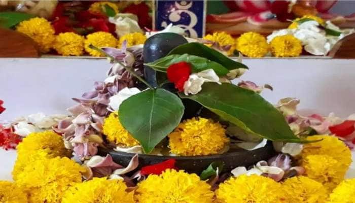 પ્રદોષ વ્રત અને શનિવારનો શુભ સંયોગ, આ સરળ ઉપાય કરવાથી શનિ સંબંધિત બાધા થશે દુર