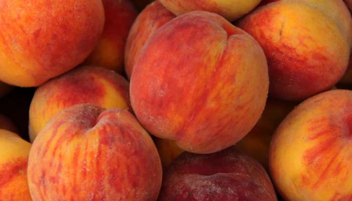 હાર્ટ હેલ્થથી લઈને કેન્સરથી બચવા માટે Peach ખાવાના છે ઢગલાબંધ ફાયદા