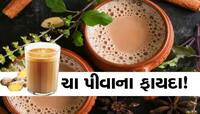 વરસાદની સિઝનમાં ઘરે બનાવો આ 3 પ્રકારની ચા, મૌસમી રોગો રહેશે દૂર
