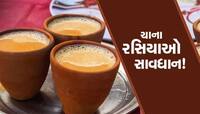 શું તમને પણ આદુવાળી ચા પીવી ખુબ ગમે છે? આ ચસ્કો પડી શકે છે ભારે, જાણો સાઈડ ઈફેક્ટ્સ