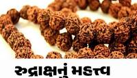 રુદ્રાક્ષની માળા પહેરતા મોટાભાગના લોકો પણ નહીં જાણતા હોય આ વાત!