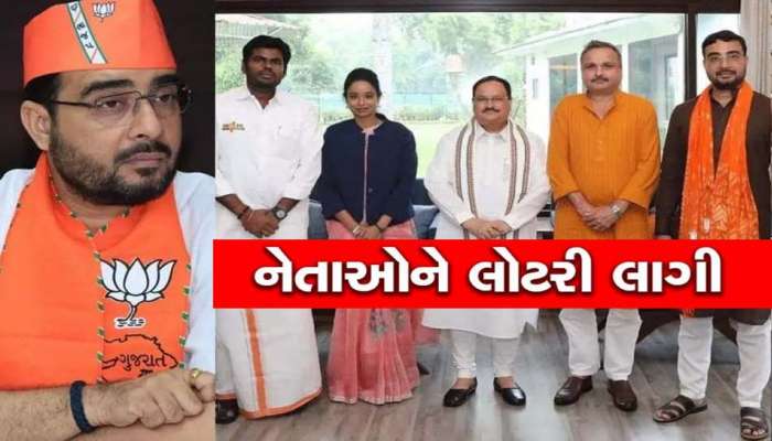 દેશમાંથી ભાજપ 4 વ્યક્તિઓને મોકલશે આફ્રીકા, ગુજરાતના આ નેતાને લોટરી લાગી!