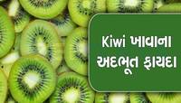 Kiwi Health Benefits: રોજ કીવી ખાશો તો ક્યારેય નહીં થાય આ વિટામીનની ઉણપ