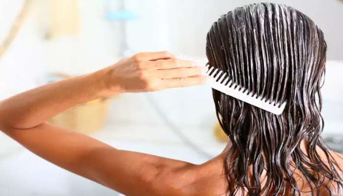 Hair Growth Tips: આ દેશી નુસખા અજમાવશો તો કમર સુધી લાંબા વાળ થઈ જશે 30 જ દિવસમાં...
