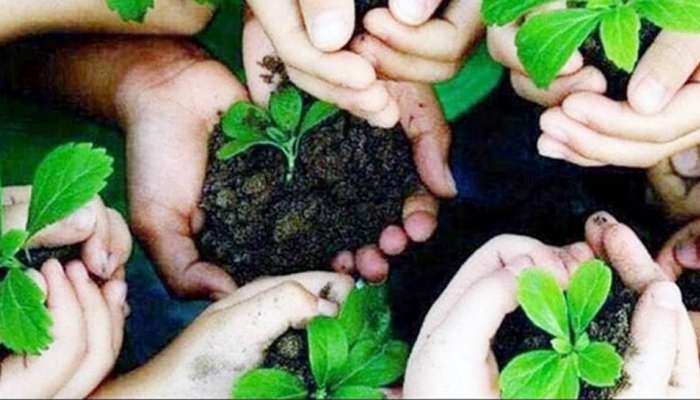 Hariyali Amavasya 2023: ક્યારે ઉજવાશે હરિયાળી અમાસ ? અમાસના દિવસે કરેલી આ ભુલ તિજોરી કરી દેશે ખાલી