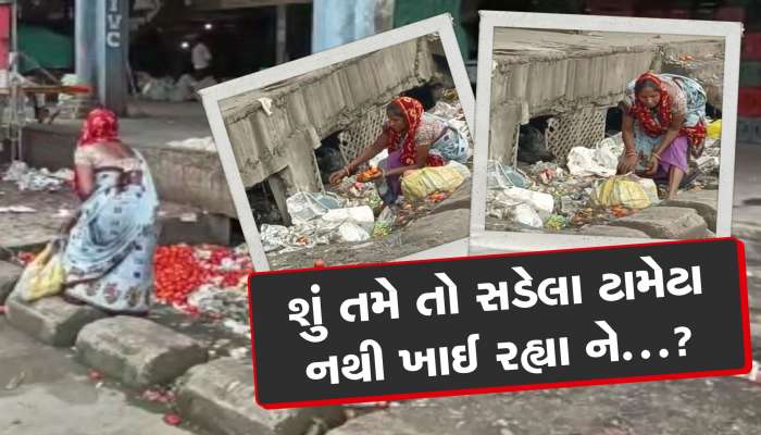 શું તમે કચરાપેટીમાંથી ભરાયેલા ટામેટા તો નથી ખાતાને? જોઈ લો સુરતનો આ વીડિયો