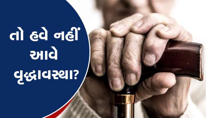 વિજ્ઞાનીઓનો દાવો- વૃદ્ધાવસ્થાને યુવાનીમાં ફેરવવા માટે રાસાયણિક મિશ્રણ મળ્યું