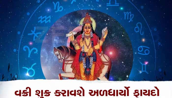 શુક્રની ઉલ્ટી ચાલ કરશે ધમાલ! આ લોકોની ચમકી જશે કિસ્મત, પ્રમોશનની પૂરેપૂરી શક્યતા 