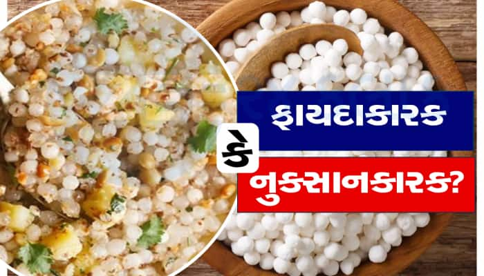 સાબુદાણા ખાવા ફાયદાકારક છે કે નુકસાનકારક? જાણો શું કહે છે એક્સપર્ટ!