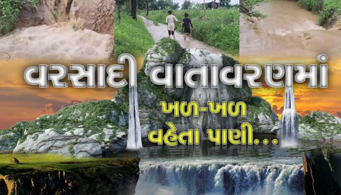 ભાવનગર જિલ્લામાં વરસાદી માહોલ વચ્ચે જુઓ નયનરમ્ય નજારો...