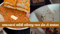 અમદાવાદની આ રેસ્ટોરન્ટની પાઉંભાજીની પ્લેટ પર ફરતી હતી જીવતી ઈયળ, સાચવજો 