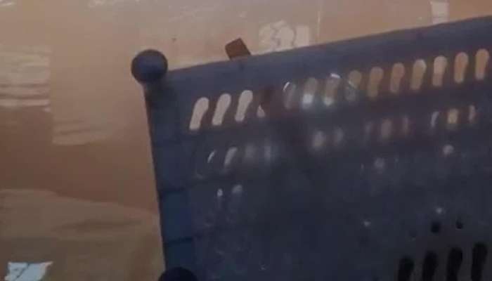 વેરાવળમાં ભારે વરસાદથી તબાહી, ઘરોમાં પાણી ઘૂસતા જનજીવન ખોરવાયું