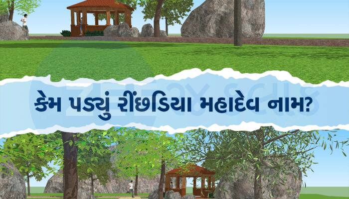 ખૂંખાર રીંછોના જંગલ નજીક વિકસાવાશે રીંછડિયા મહાદેવ મંદિર, અંબાજી પાસે શક્તિ સાથે શિવ