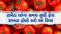 Kitchen Hacks: લાંબા સમય સુધી તાજા રહેશે ટામેટાં, આ રીતે કરો સ્ટોર