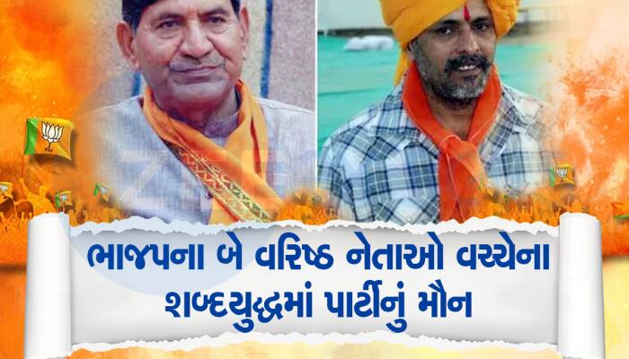 Gujarat Politics: BJPના 156 MLA ગાડીની નીચે ચાલનારા, ભાજપ માટે જૂથબંધી સીટ ગુમાવશે