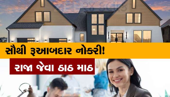 Government Job: જબરદસ્ત રૂઆબ ધરાવતી નોકરી, PM-CM પણ હટાવી શકે નહીં! ઠાઠ માઠ તો રાજા જેવા