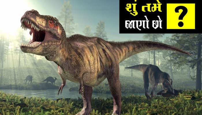 પહેલાં ગુજરાતમાં ક્યાં-ક્યાં હતુ ડાયનોસોરનું ઘર? ક્યાં છે વિશ્વની ત્રીજા નંબરની ડાયનાસોર સાઈટ