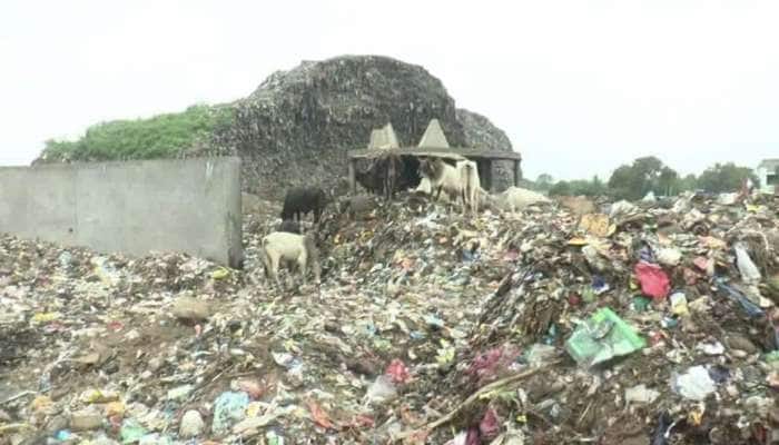 પાલનપુરમાં પાલિકાની ઘોર બેદરકારી! રોડ પર કચરાનો વિશાળ ડુંગર, 10 ગામનો સંપર્ક કપાયો