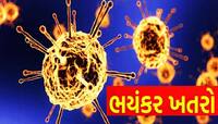 શું ચીન બાદ હવે અમેરિકાથી ફેલાશે કોરોના જેવી મહામારી? જાણો સૌથી મોટી ચેતવણી