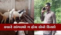 વડોદરાનો ગજબનો કિસ્સો! સસ્તામાં બકરા ખરીદવા ગયો'ને અને પોતે બકરો બની ગયો!