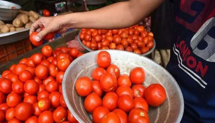 Tomato Price: બસ હવે આટલા દિવસ જોઈ લો રાહ, આ દિવસથી મળશે 30 રૂપિયે કિલો ટમેટા